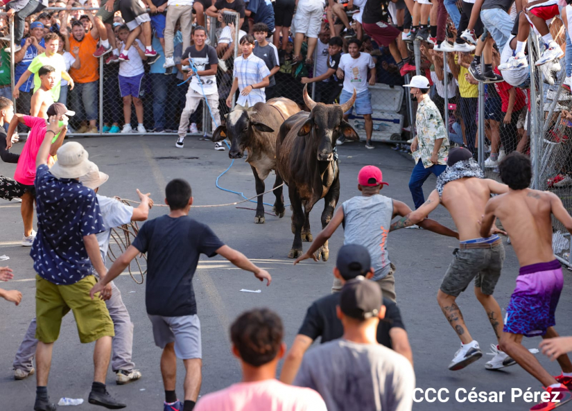 VACAS